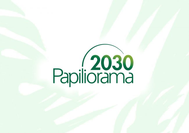 Papiliorama 2030 Logo-Design